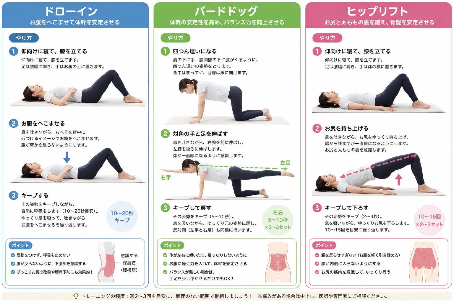 体幹トレーニング 腰痛改善 ドローイン バードドッグ ヒップリフト やり方