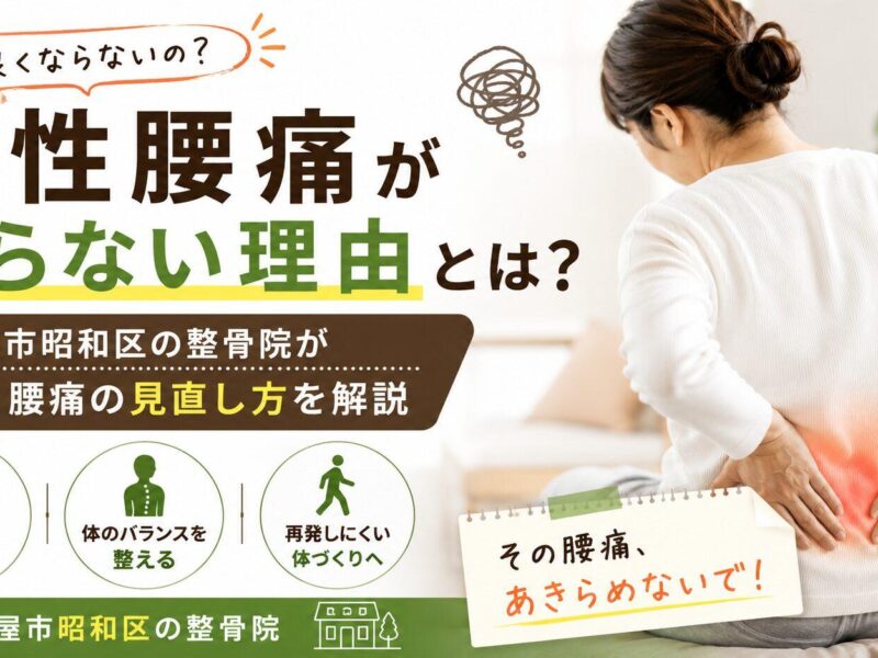 腰痛　慢性　名古屋　昭和区　接骨院