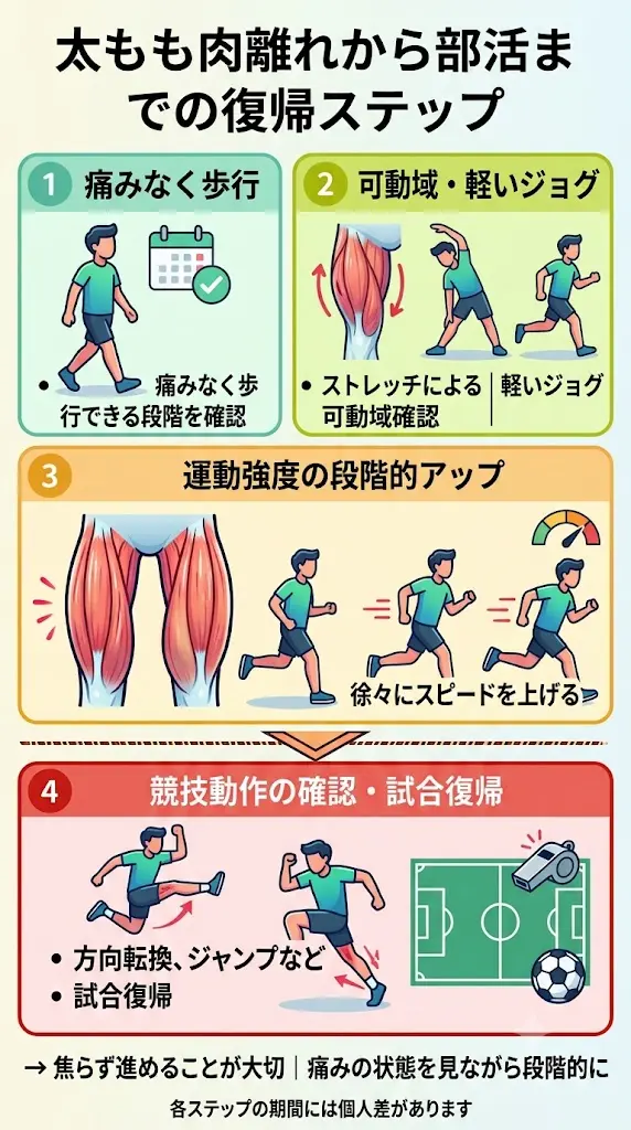 太もも肉離れから部活復帰までの4つのステップ