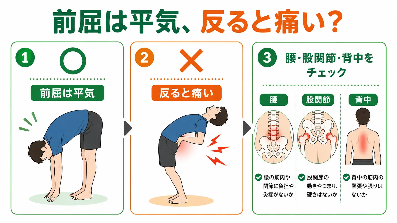 前屈は平気だが腰を反らすと痛い場合の身体のチェックポイント